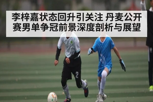 李梓嘉状态回升引关注 丹麦公开赛男单争冠前景深度剖析与展望