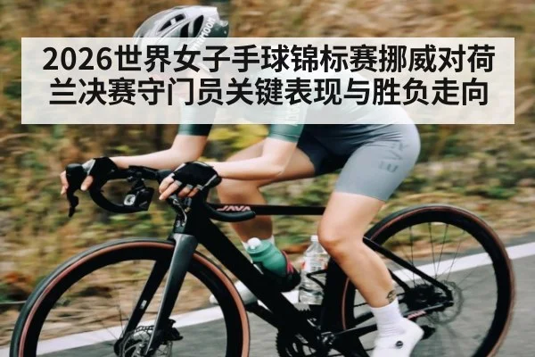 2026世界女子手球锦标赛挪威对荷兰决赛守门员关键表现与胜负走向