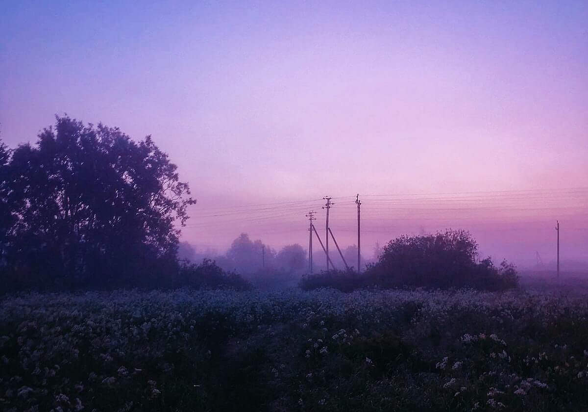 辉达娱乐-澳网男女单四强出炉 德约科维奇将迎战辛纳